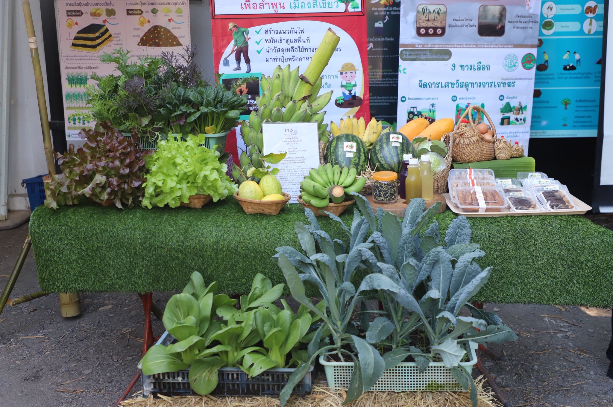 title - ”พลิกโฉมเกษตรกรสู่ผู้ประกอบการ“ ส.ป.ก.ลำพูน โชว์ความสำเร็จเกษตรอินทรีย์ครบวงจร ตั้งแต่แปลงปลูกสู่ตลาดพรีเมียม!!